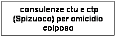 Casella di testo:  consulenze ctu e ctp (Spizuoco) per omicidio colposo
