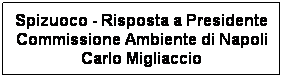 Casella di testo: Spizuoco - Risposta a Presidente Commissione Ambiente di Napoli Carlo Migliaccio
