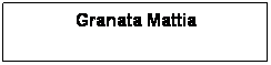 Casella di testo: Granata Mattia
 
