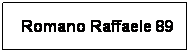 Casella di testo:  Romano Raffaele 89
